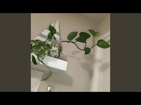 i won't forget (feat. heylog)