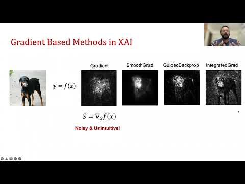 On the Impact of Estimating Example Difficulty with Chirag Agarwal, Research Scientist@Adobe