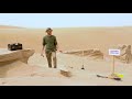 Desertcart: Find Anything Online Shopping in United Arab Emirates