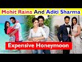 Mohit Raina And Aditi Expensive Honeymoon। Mohit Raina big Suprise for wife ।