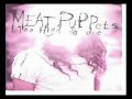 meat puppets comin down lyrics