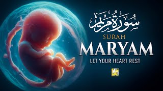 Download lagu Surah Maryam سورة مريم | Calming Recitation to Heal the Soul & Ease Anxiety 🌿 #quranforpeace mp3 Download lagu Surah Maryam سورة مريم | Calming Recitation to Heal the Soul & Ease Anxiety 🌿 #quranforpeace mp3