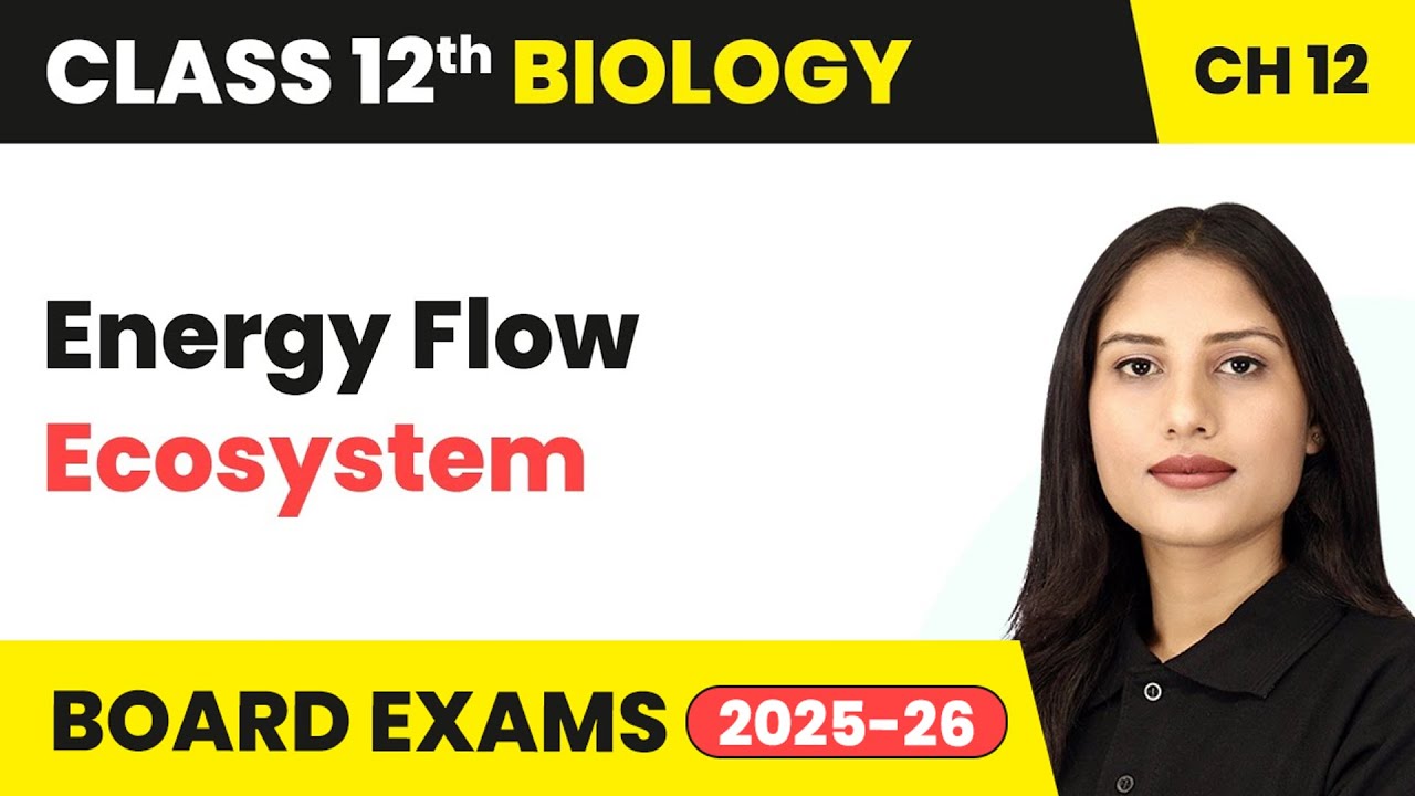 Energy Flow - Ecosystem | Class 12 Biology Chapter 12 | CBSE 2024-25