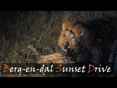 Berg-en-dal Sunset Drive | Kruger Night Drive | Stories Of The Kruger