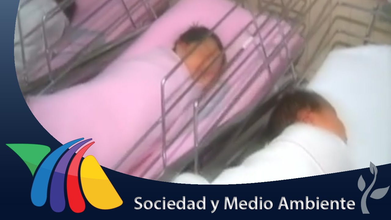 Uno de cada cien niños en México nace con autismo | Noticias de Veracruz