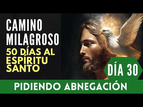 día 30: CAMINO MILAGROSO (pidiendo al Espíritu Santo) nos otorgue ABNEGACIÓN 🔥🙏
