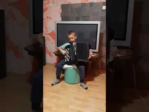 Nemanja Pavlovic Kolo  Cigancica Nova