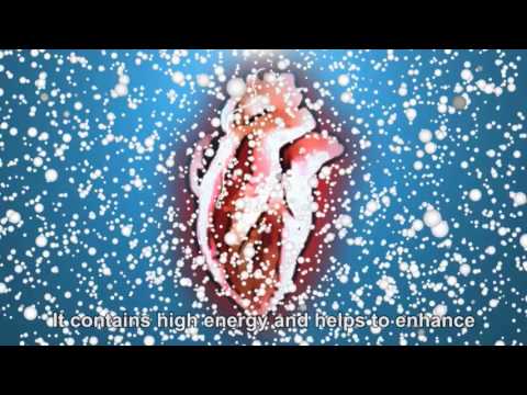 Product Video 1