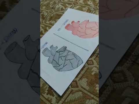 Drawing heart  Hashtags#viral #viralvideo #drawing #heart #youtubeshorts#ytshorts #shorts