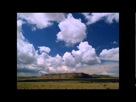 Dālderi - Dzīvo Brīvs