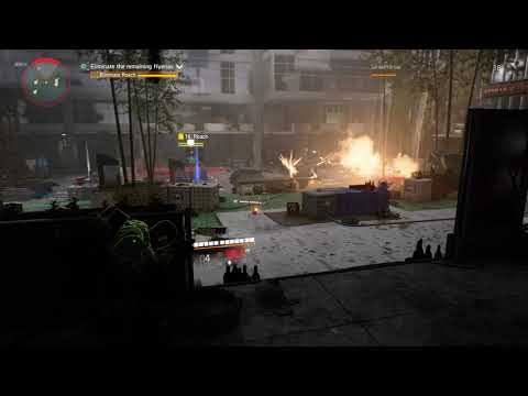 The Division 2: You Gotta Roach Problem.