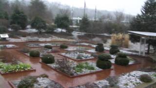 preview picture of video 'Snow beginning to fall at the State Botanical Garden of Georgia'