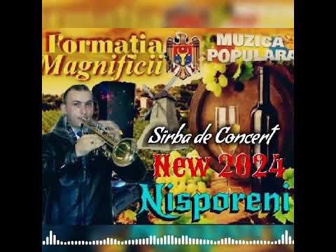 Formația Magnificii Nisporeni New 2024 - Sîrba de Concert 🎺🎺🎺🎶🎶🎵🎵🎼🎹🎼🎵🎶👍👍👍
