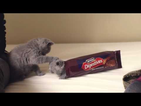 McVitie's Chocolate Digestives - Sweet 2016