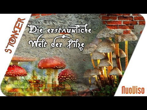 Die erstaunliche Welt der Pilze- Joker zur Heilung von Mensch und Erde