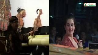 Download lagu Disaksikan Pak Jokowi, SINDEN MEGAN AJAK KI ENTHUS 'MENTHIL'. Ngakak lucu pol.. Rec. Desember 2012 mp3