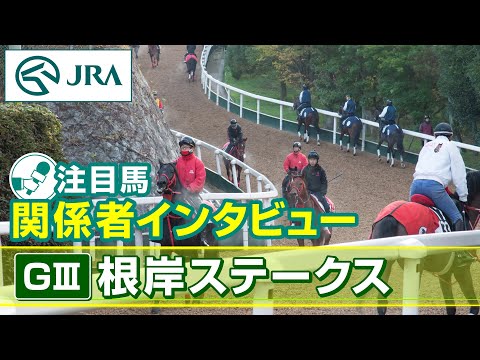 【注目馬 関係者インタビュー】2026年 根岸ステークス｜JRA公式