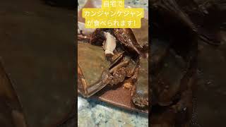 Hマートでカンジャンケジャン売ってます(たぶん期間限定)　#shorts