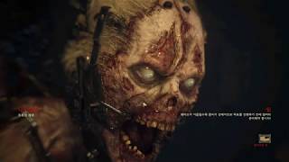 콜 오브 듀티: 월드 워 2, 나치 좀비 플레이