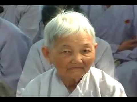 Vấn đáp: Sự và lý Tịnh Độ (10/04/2010) video do Thích Nhật Từ giảng