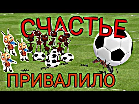 ПРОСТО СКАЗОЧНОЕ ВЕЗЕНИЕ!!! 😆/ lucky anthunting 🐜🐜🐜↕️🐲