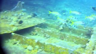 preview picture of video 'Mansinum Pillbox Wreck (60m long Japanese cargo ship), Manokwari, West Papua, 20 May 2012'