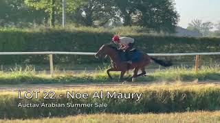 Video  de NOE AL MAURY #3