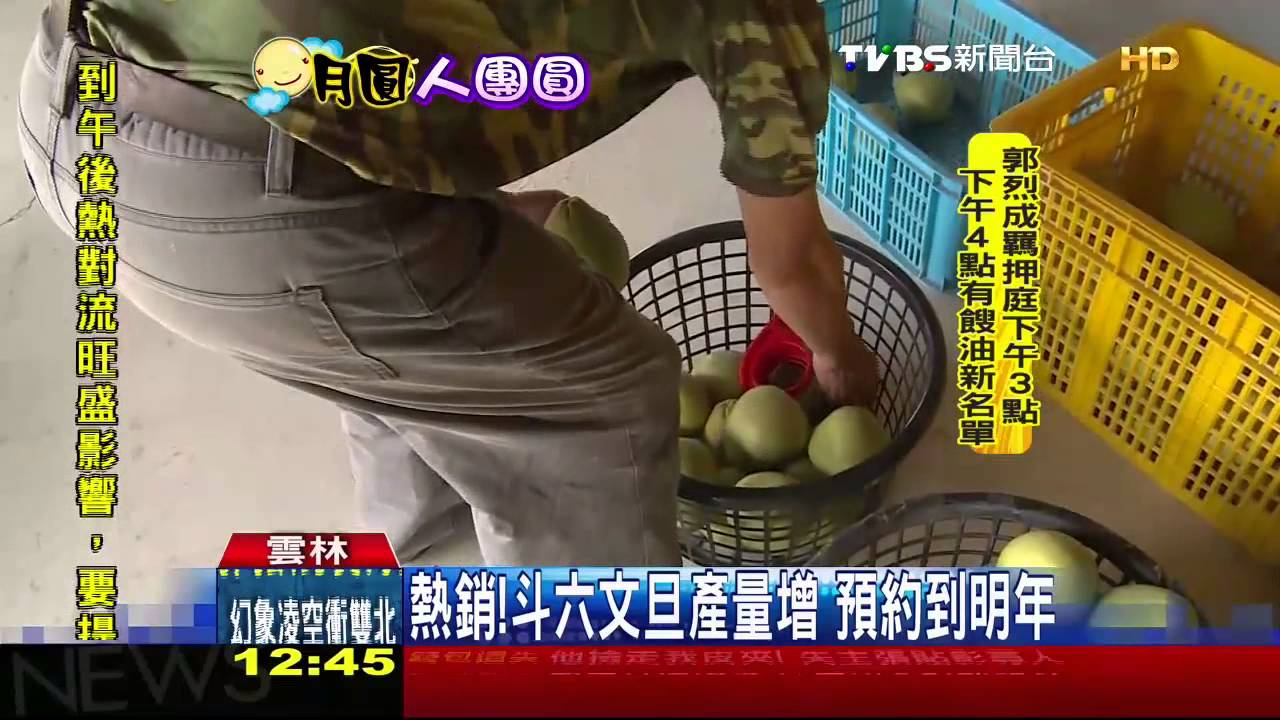熱銷！斗六文旦產量增　預約到明年
