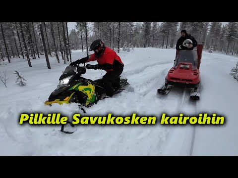 "Pilkki"Kelkkailureissu Savukoskelle