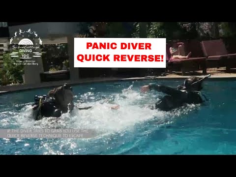 PADI Rescue Diver Exercise 2 - Panic Diver Quick Reverse