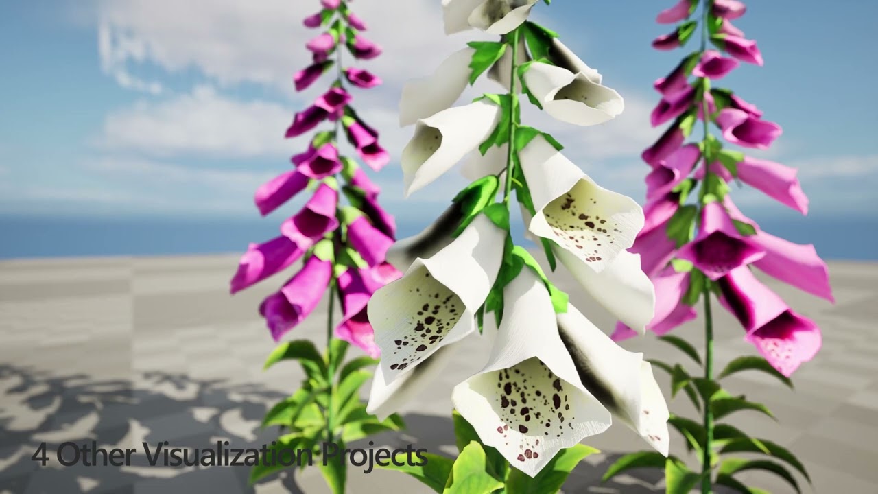 Flores coloridas de luva Low Poly Modelo 3D