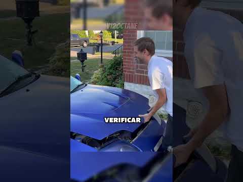 Ele viajou 1.600KM só pra comprar um SUPRA!!! (Elsea’s World)