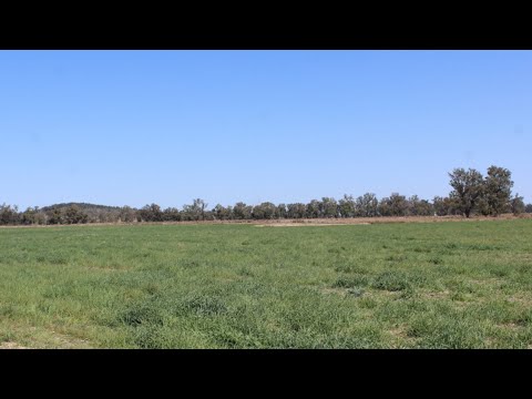564 Cobba Da Mana Road, Oman Ama, Darling Downs, 7 ਕਮਰੇ, 2 ਬਾਥਰੂਮ, Lifestyle Property