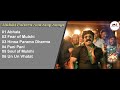 Mulshi Pattern Non Stop Songs मुळशी पॅटर्न Non Stop Songs