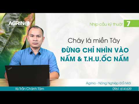 NHỊP CẦU KỸ THUẬT - AGRINO: CHÁY LÁ MIỀN TÂY - ĐỪNG CHỈ NHÌN VÀO THUỐC NẤM