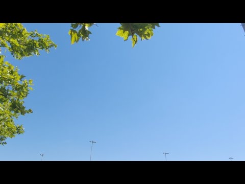 Re: Who Is The King 👑 In Deut.28:36???????