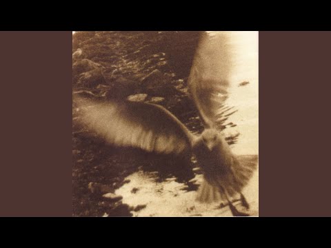Video thumbnail for I’m Sorry