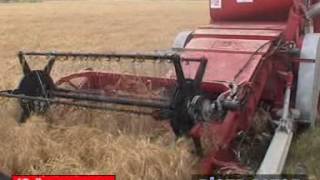 Autre moissonneuse Özapalılar 2025 à vendre - Image 5 | Agronetto CI Autre moissonneuse Özapalılar 2025 | Image 5 - Agronetto