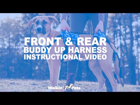 Instructional Video for the Buddy-Harness