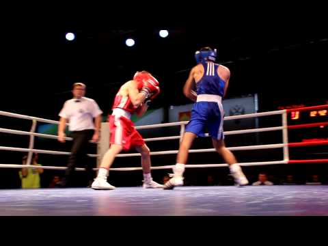 Бой Владимира Никитина 2012