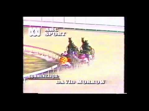 1986 Inter Dominion Heat 10 - Stylish Guy