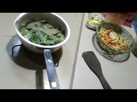 cara masak daun pepaya drebus 30mt pakai tanah d campur biar hilang pahitnya silahkn coba..