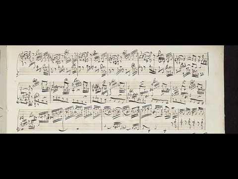 J. S. Bach - Toccata and Fugue in D minor, BWV 538 (G. Pauletta).