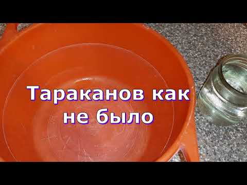 Отличное средство от тараканов! За 3 ДНЯ! Тараканов как не было