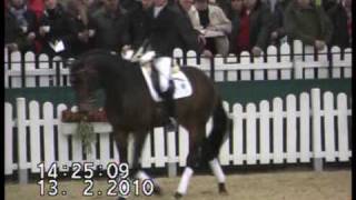 Video von Herbstbach