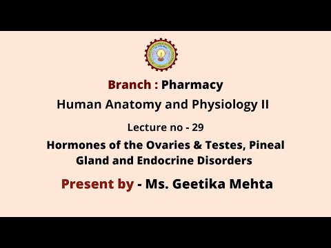 Hormones of the Ovaries and Testes, role of pineal gland and thymus. Endocrine disorders
