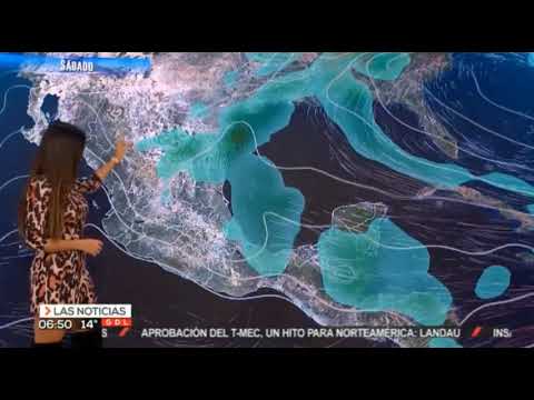 Susana almeida 2020 01 18