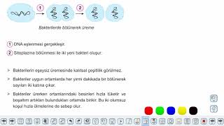 Eğitim Vadisi 9.Sınıf Biyoloji 14.Föy Canlı Alemleri (Bakteriler ve Arkeler) Konu Anlatım Videoları