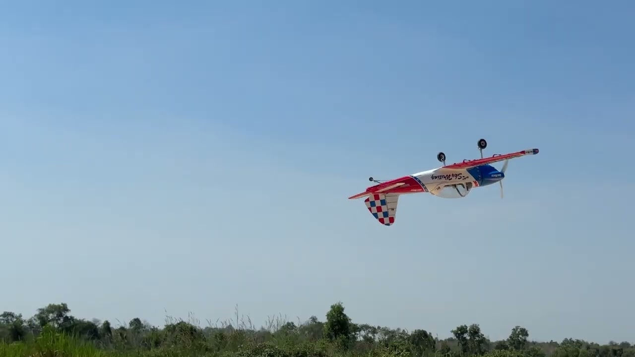 Super Chipmunk Art Scholl's 2,05m