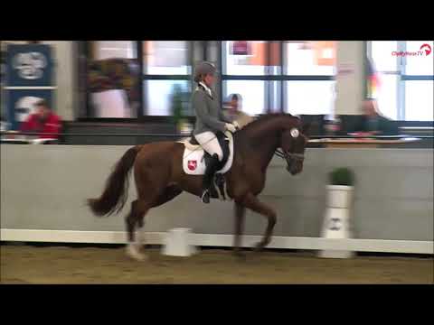 Von und Zu - Sportprüfung 2021